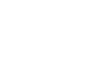 ANEES, Asociación Nacional de Entidades Especializadas