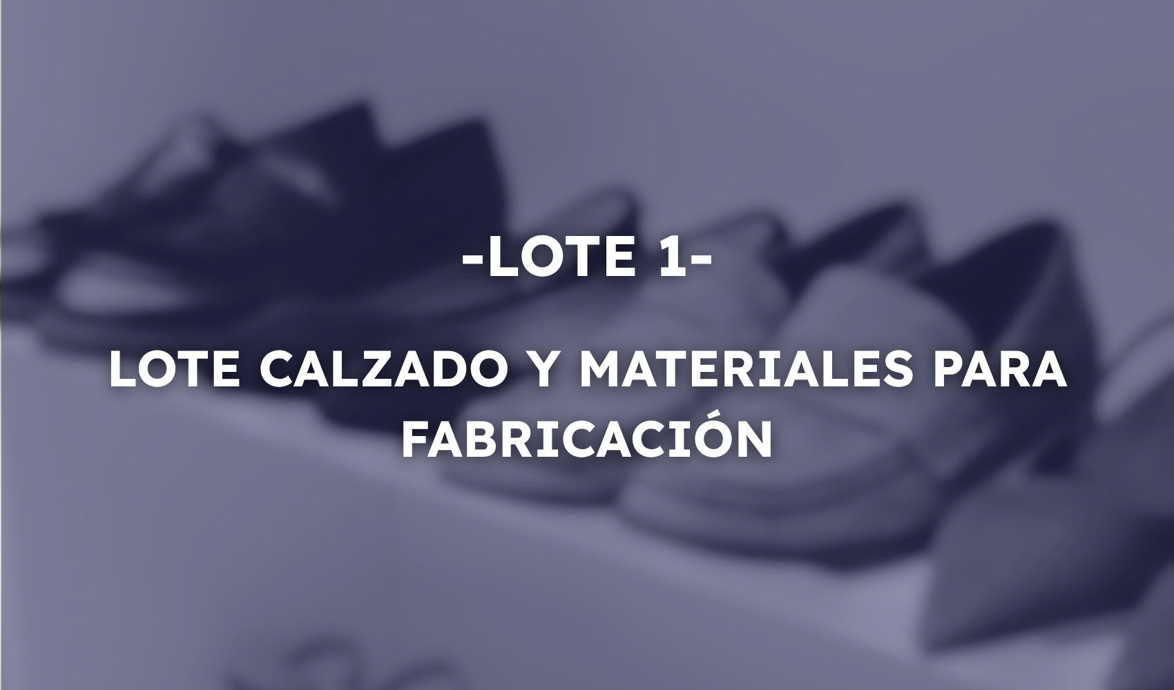 S3.592 LOTE 1 – LOTE CALZADO Y MATERIALES PARA FABRICACIÓN