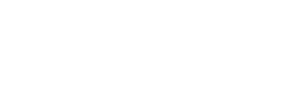 Viasubasta