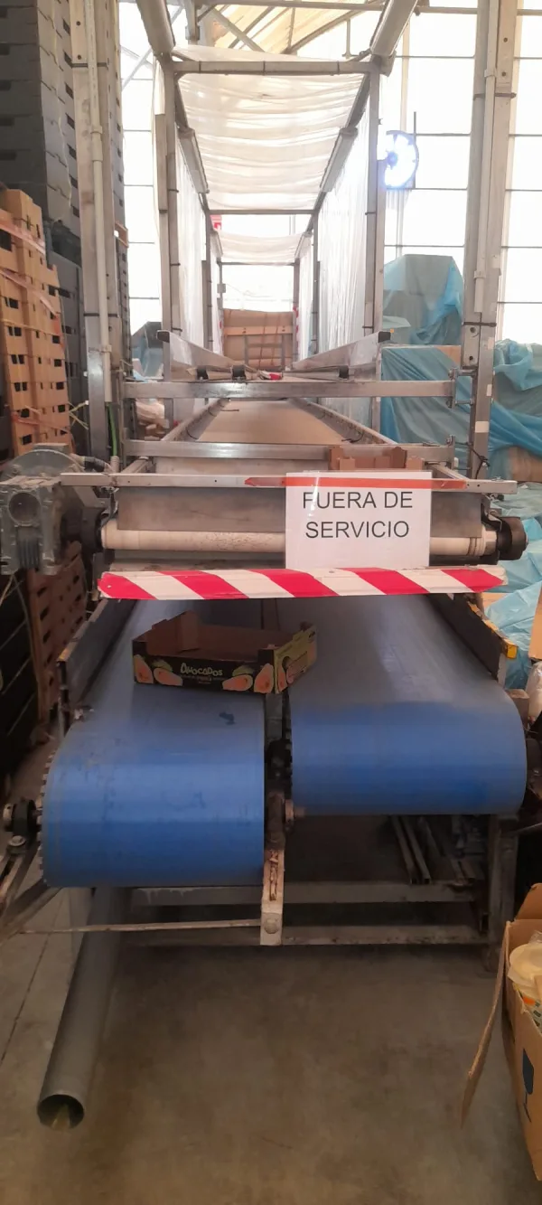 L5 - MAQUINARIA PARA PROCESADO Y ENVASADO HORTOFRUTÍCULA — imagen 2