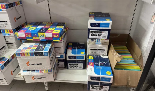 L11-EXISTENCIAS MATERIAL DE PAPELERIA — imagen 3