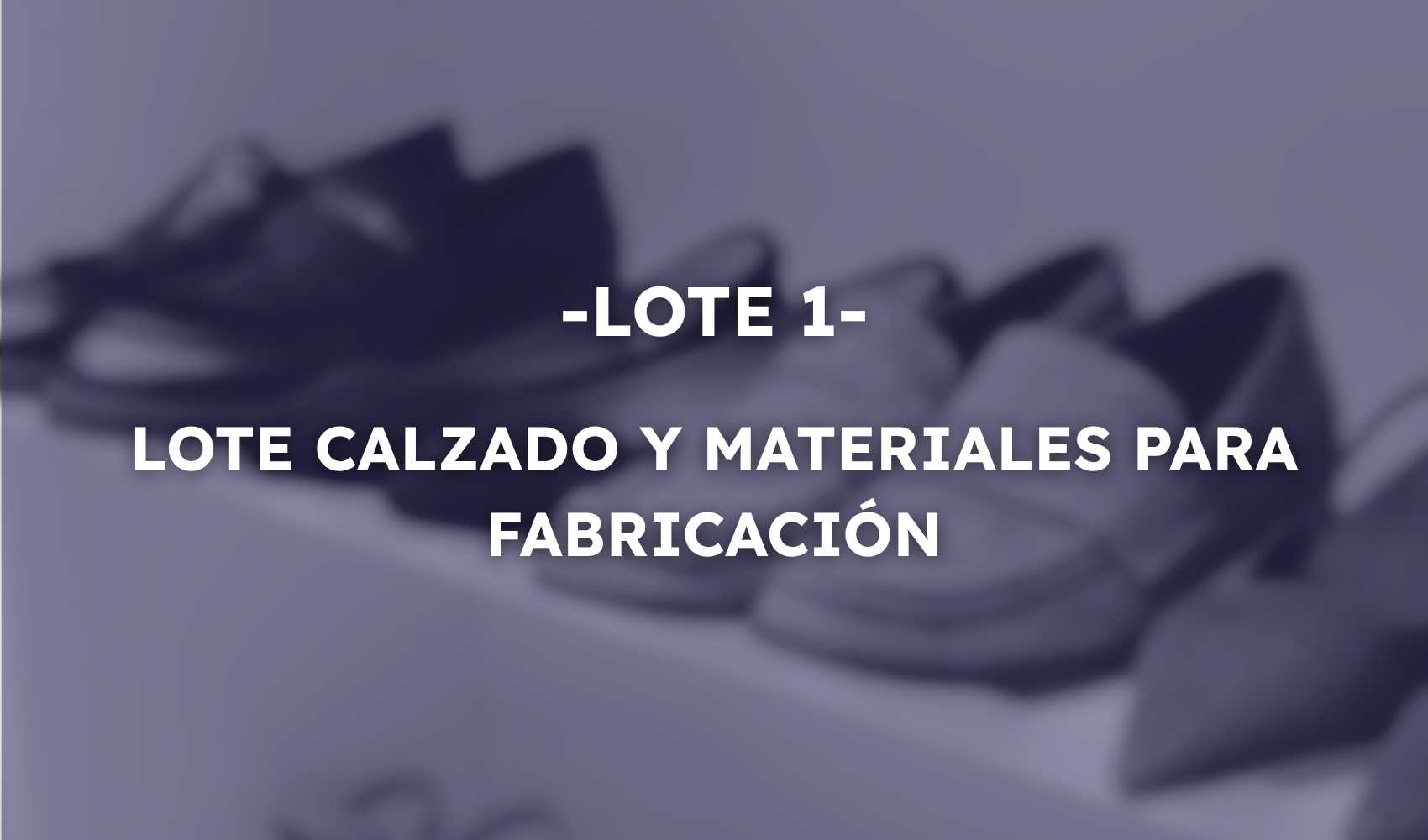 L1 - LOTE CALZADO Y MATERIALES PARA FABRICACIÓN