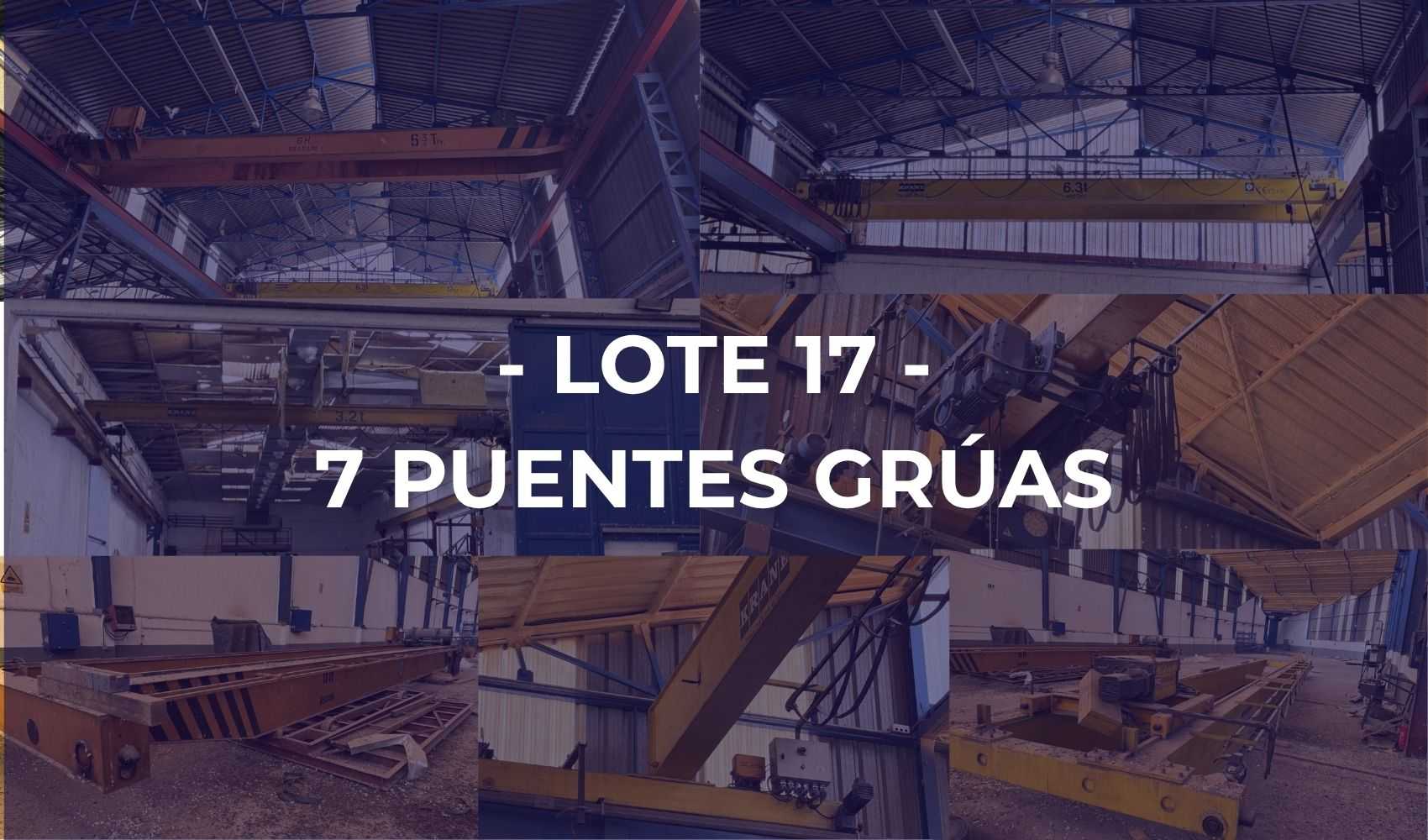 L17 - 7 PUENTES GRÚAS