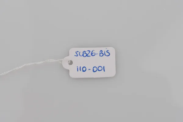 Lote de 10 · Bisutería · SIN MARCA — imagen 4
