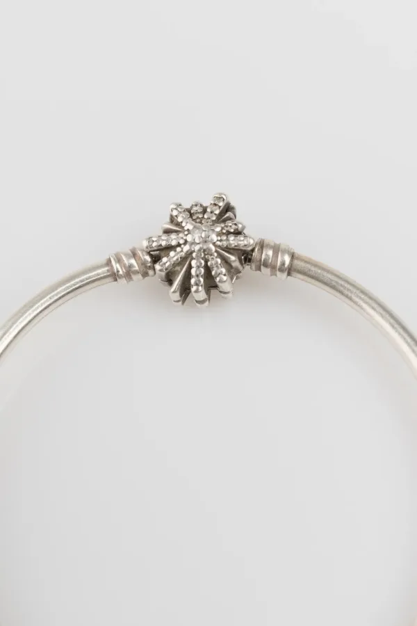Lote de 5 · Plata · PULSERAS — imagen 3