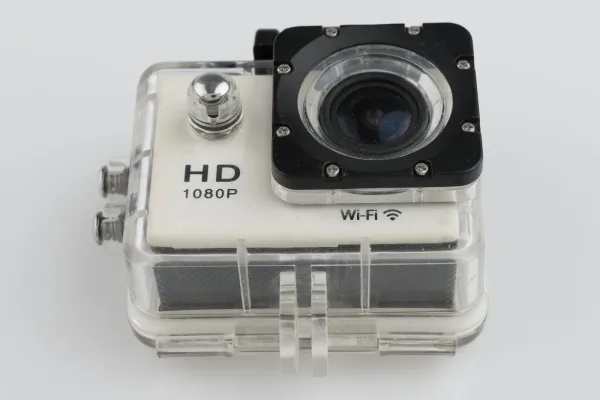 Lote de 2 · Fotografía · HIBRIDAS — imagen 1