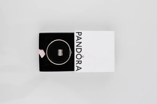 Lote de 5 · Plata · PULSERAS — imagen 1