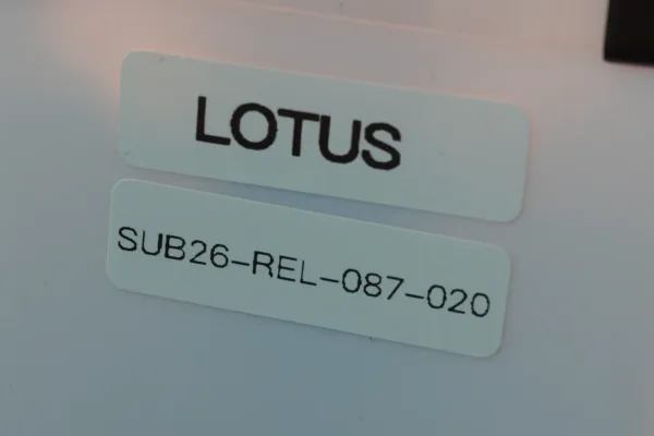 Lote de 10 · Relojes · RELOJES ANALÓGICOS — imagen 2