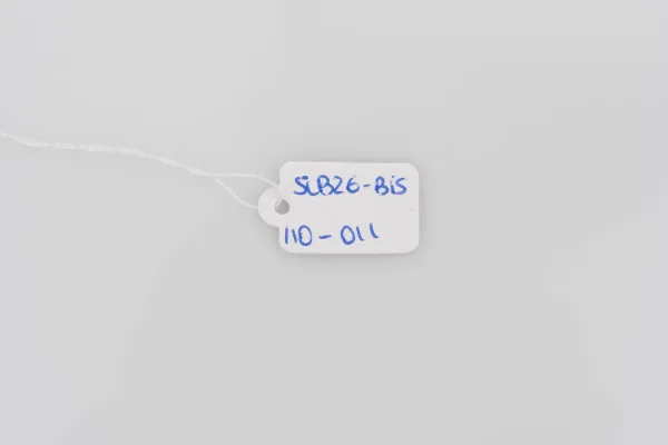 Lote de 6 · Bisutería · SIN MARCA — imagen 4