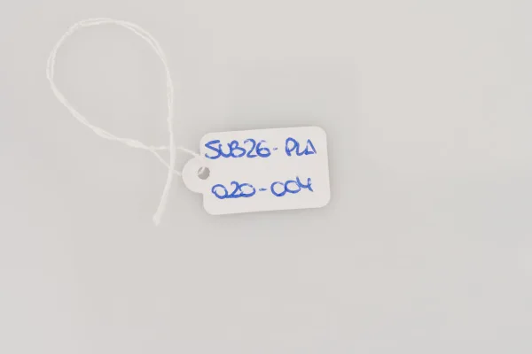 Lote de 10 · Plata · PENDIENTES — imagen 3