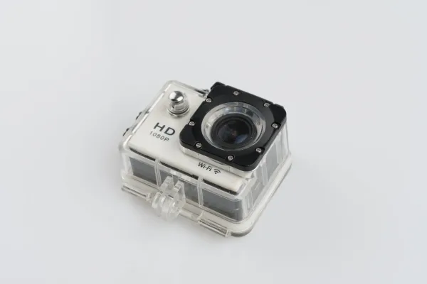 Lote de 2 · Fotografía · HIBRIDAS — imagen 4