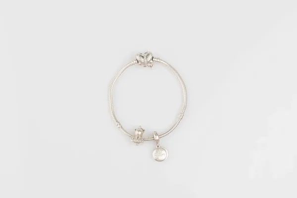 Lote de 5 · Plata · PULSERAS — imagen 1