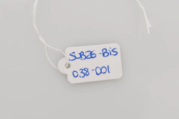 Lote de 2 · Bisutería · SIN MARCA — imagen 3