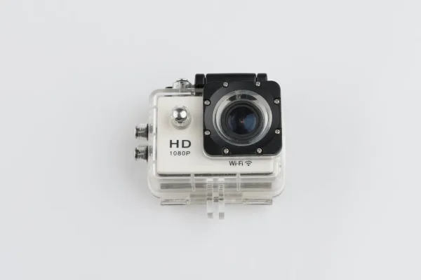 Lote de 2 · Fotografía · HIBRIDAS — imagen 3