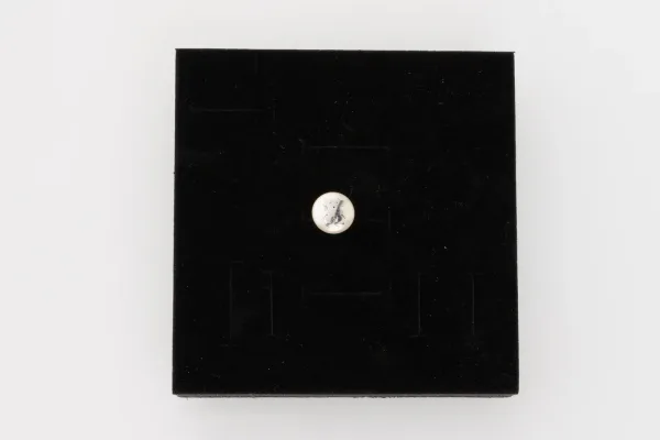 Lote de 2 · Plata · PENDIENTES — imagen 1