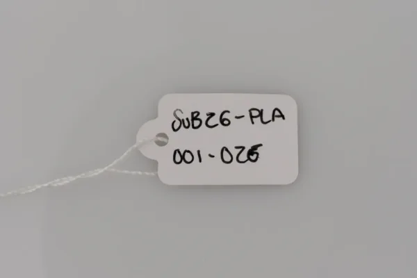 Lote de 10 · Plata · PULSERAS — imagen 3