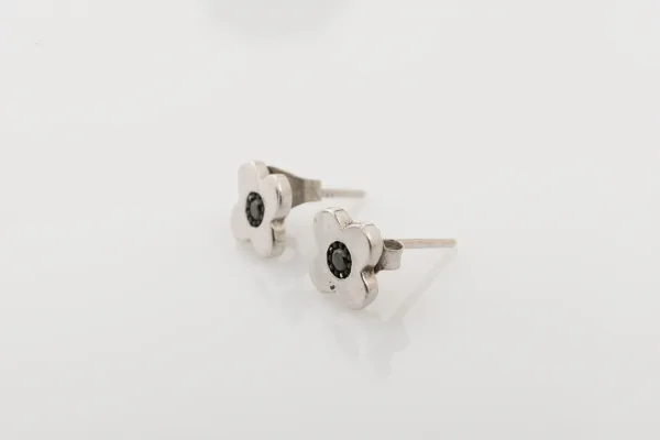 Lote de 10 · Plata · PENDIENTES — imagen 2