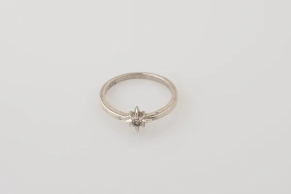 Lote de 10 · Plata · ANILLOS — imagen 1