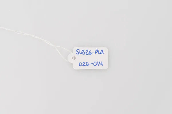 Lote de 10 · Plata · PENDIENTES — imagen 4