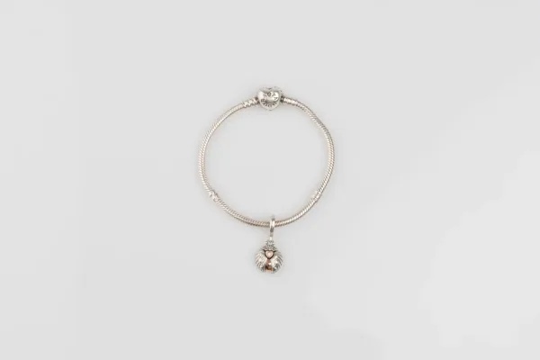 Lote de 5 · Plata · PULSERAS — imagen 1