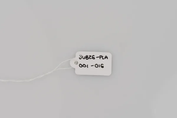Lote de 10 · Plata · PULSERAS — imagen 2