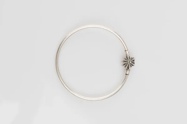 Lote de 5 · Plata · PULSERAS — imagen 2