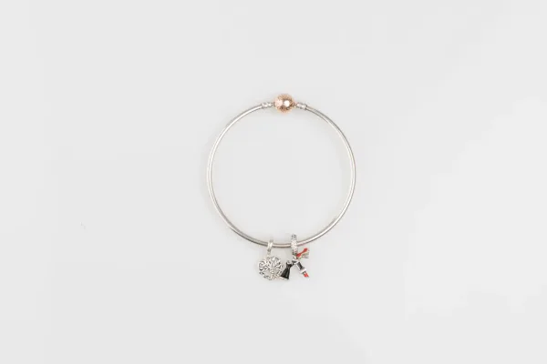 Lote de 5 · Plata · PULSERAS — imagen 1